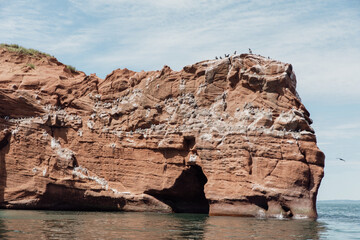 vue sur une falaise en roche rouge avec des fientes d'oiseau  au bord de l'eau en été lors d'une journée ensoleillée