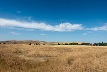 Beautiful summer mountain landscape. Wheat fields and mountains. Kyrgyzstan. Natural background