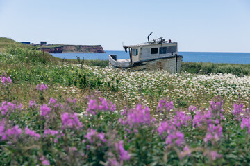 vue sur un bateau de pêcheur blanc hors de l'eau déposé dans un champ avec des fleurs sauvages...