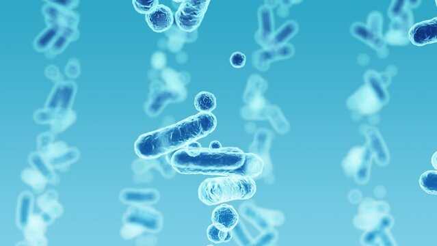 Enterobacteriaceae, gram-negative rod-shaped bacteria, part of intestinal microbiome and causative agents of different infections, 3D rendering. Escherichia coli, Klebsiella, Enterobacter and other