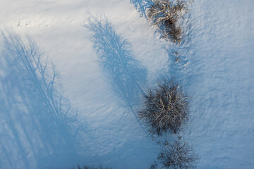 Zimowa polana długie cienie © Maciej G. Szling