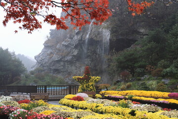 Fall foliage, chrysanthemums and waterfalls