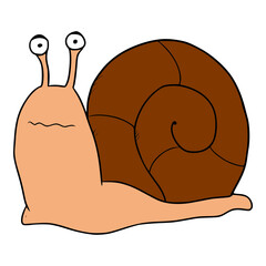 snail illustration hand drawn colored vector