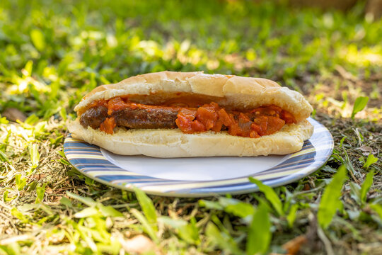 boerewors roll  on a picnic plate with relish