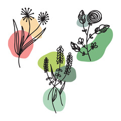set of flower elements line art