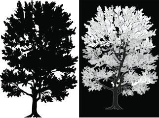 tree two silhouettes isolated on black and white background
