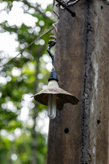Lamp Shade Hangs from tree 