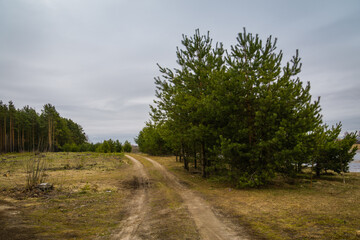 Spring flood of the river