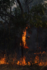 Australian Bushfire in the Northern Territory