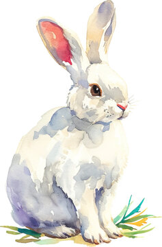white rabbit isolated on white easter eggs collection water color painting colorful png, Easter illustration, , Animal illustration