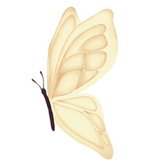 Hand drawn water color butterfly illustrations. Perfect for decoration, wedding invitation, or valentine's day design.