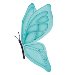 Hand drawn water color butterfly illustrations. Perfect for decoration, wedding invitation, or valentine's day design.