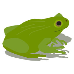 vector of a green frog on white background. eps 10. 