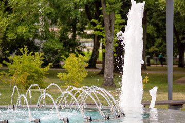 Water jets of the fountain on the background of the park