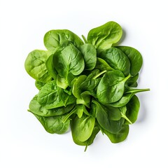 Fototapeta premium Photograph of spinach, top down view, wite background