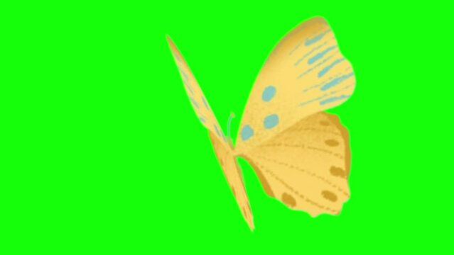 Yelow Butterfly Green Screen background, butterfly animation