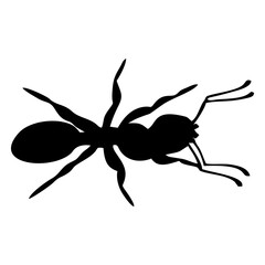 silhouette of a black ant walking