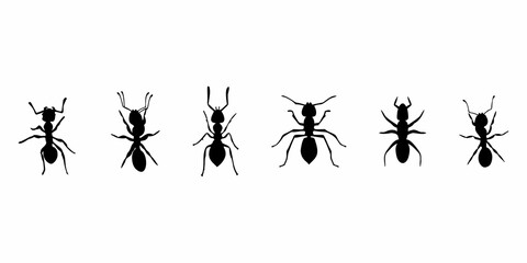 silhouette of a black ant walking - obrazy, fototapety, plakaty