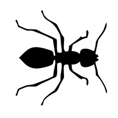 silhouette of a black ant walking