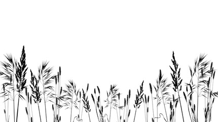 Silhouette of dry meadow grass with fluffy spikelets isolated on a white background. Floral...