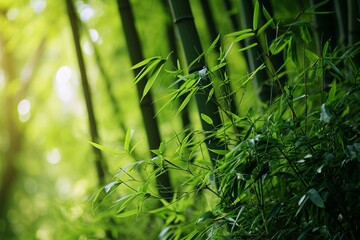 Fototapeta na wymiar A lush bamboo grove with neon leaf green veins in the bamboo stalks and leaves,