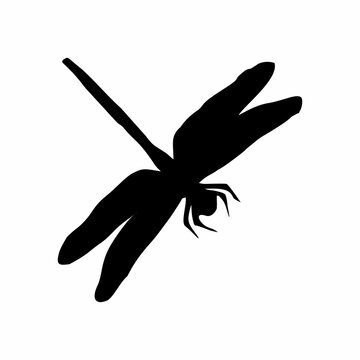 black dragonfly or insect silhouette