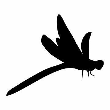 black dragonfly or insect silhouette