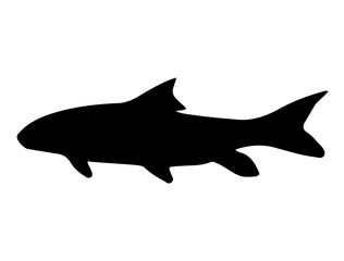 Silver Redhorse fish silhouette vector art white background - obrazy, fototapety, plakaty