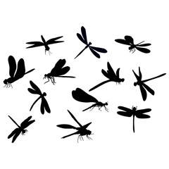 black dragonfly or insect silhouette