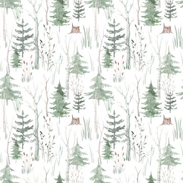 Seamless pattern with watercolor pine trees and spruces, hand drawn on white background