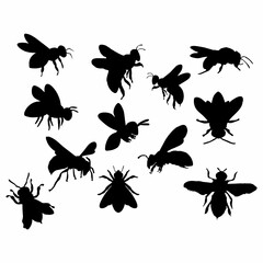 black bee or insect silhouette