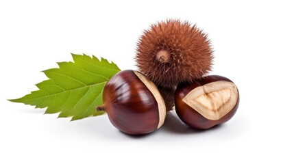 Chestnut with leaves close up on white backgrounds.