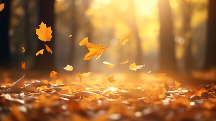 Naklejka na ściany i meble Leaves fly in wind in sunlight. Concept of Golden