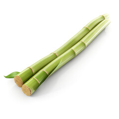 Fototapeta premium Sugar cane isolated on white background.
