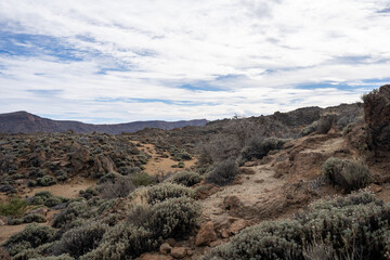 Landscape of Teide National Park, Tenerife, Canary Islands, Spain