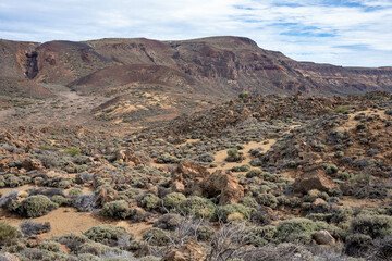 Landscape of Teide National Park, Tenerife, Canary Islands, Spain