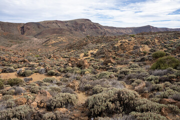 Landscape of Teide National Park, Tenerife, Canary Islands, Spain