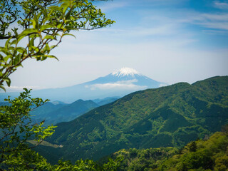 大山阿夫利神社の富士見台からみた富士山 / Mt. Fuji seen from Fujimidai of Oyama...