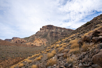 Landscape of Teide National Park, Tenerife, Canary Islands, Spain
