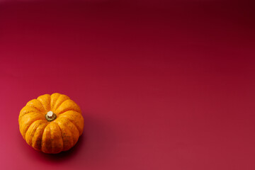 小型のカボチャを左下に1個配置した紫色系背景あり俯瞰撮影