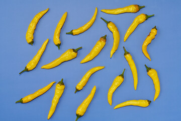 黄色系唐辛子をランダムに複数配置した青色系背景あり真俯瞰撮影