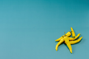 黄色系唐辛子を複数右下に複数配置した緑色系背景あり俯瞰撮影