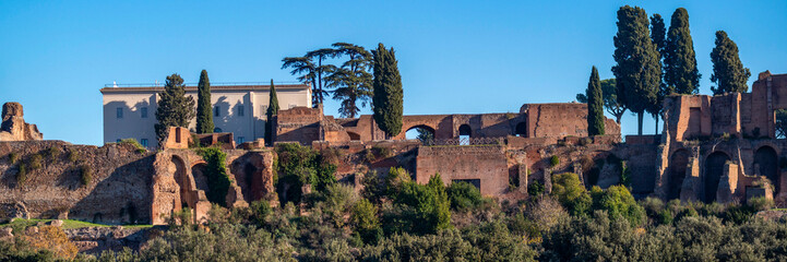 Vue panoramique sur les ruines du Forum Romain
