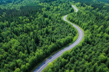 Aerial view of a winding road in a dense forest, top view, copy space