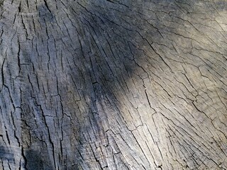  wood texture with cracks. natural background