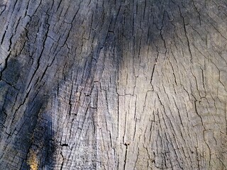  wood texture with cracks. natural background