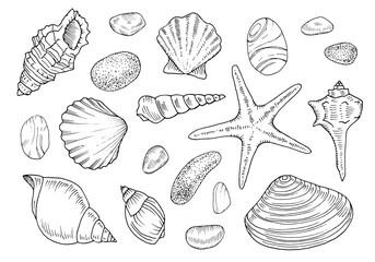 Seashell Vector Set. Outline illustration of starfish and rocks. Hand drawn nautical clipart bundle. Black line art of summer decoration. Linear drawing on isolated white background. Scallop sketch