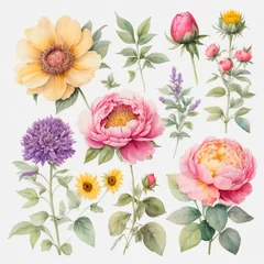 Fototapeten set of watercolor painted flowers © Алена Харченко