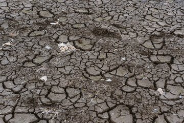 plastic polluted cracked earth background. Global warming, climate change and global warming concept. Environmental pollution