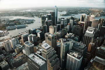 Naklejka na ściany i meble City Skylines: Sydney's Towering Beauty Unveiled